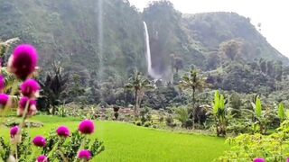 Terapi Otak dengan musik relaksasi