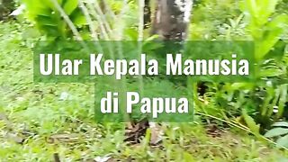 Mengerikan...!!!????