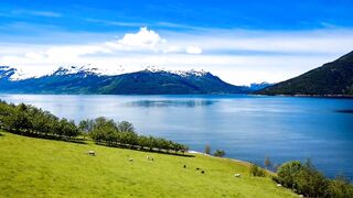 Relaxation with Amazing Nature