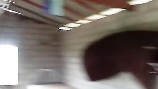 O bicho tá pegando