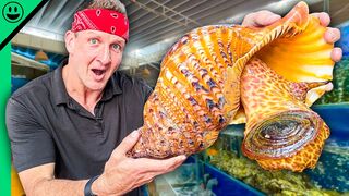Seafood challenge