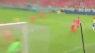 Highlight Brazil vs Korea Selatan