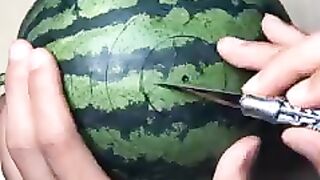 Fruit Art
