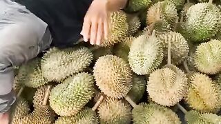 Selling durians