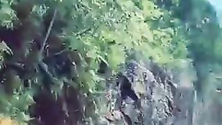 Nature Of Srilanka