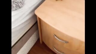 Most Popular Funny Cats Compilation 7