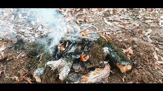 A heartfelt video from the forest