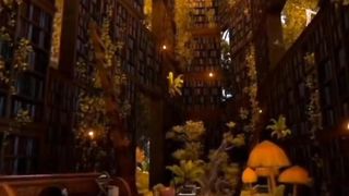 video 277