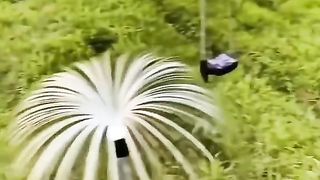 Great technology led solar