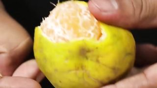 Let's Make Mix Fruit