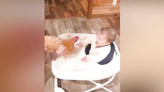 Funniest Baby Trolling With Animals