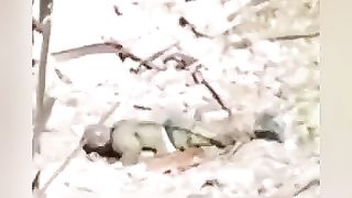 Video 332