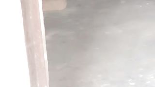 a lovely cats