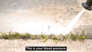 THE TRUTH ABOUT BLOOD PRESSURE