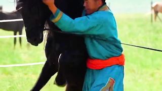 Brave Mongolian men tame the fiercest Mongolian horses #nation on horseback#