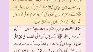 اسلامی معلومات 732