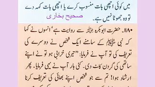 اسلامی معلومات 733