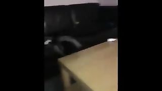 FUNNY CATS MEMES COMPILATION OF 2023