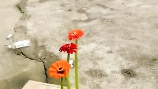 TRY NOT TO LAUGHING I Best Funny Videos Compilation 2023 # 611
