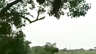 TRY NOT TO LAUGHING I Best Funny Videos Compilation 2023 # 612