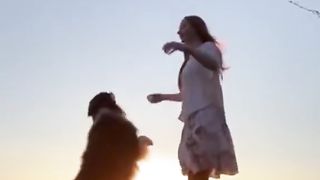 Упражнения с собакой