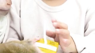Cute Baby and Monkey