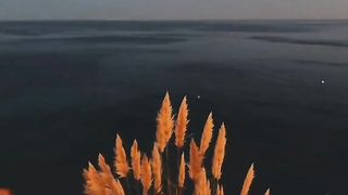 SakOon e Zindagi ????