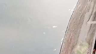 Kegagalan budidaya ikan lele di jaring