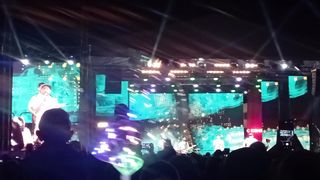 Дрозды 3