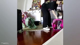 Funny cats videos 6