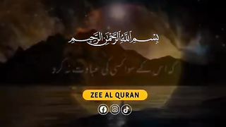 video 278