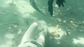 Girl Swimming with alligators ❤️