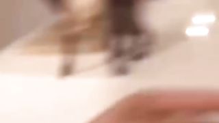 _vidéos_d_animaux_drôles_que_j_ai_trouvées_pour_vous_ 2