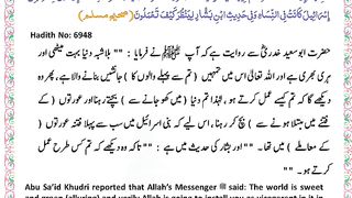 اسلامی معلومات 739