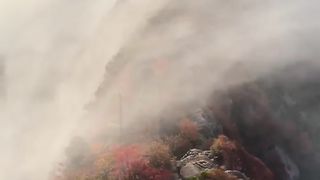 Beauty of Fall