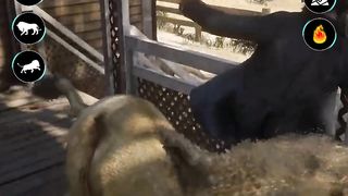Lion Games Animal Simulator 3D 3