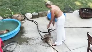 Duck Duck
