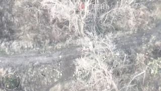 Ukraine Russia War | Russian Sudoplatov FPV Drone Strikes Ukrainian Soldiers Rescuing Woun | RCF