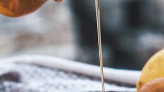 "Golden Nectar Chronicles: A Dive into the World of Pure Honey"