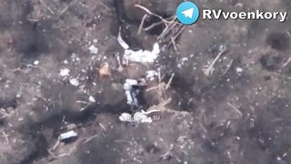 Ukraine Russia War | Ukrainian Dugout Hit by FPV Drone, Soldiers Forced to Shelter | RCF