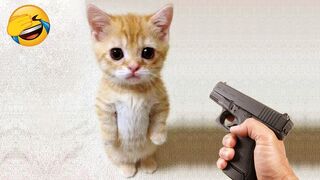 New funny videos 2023 |Cute Cats and Dogs videos part 1