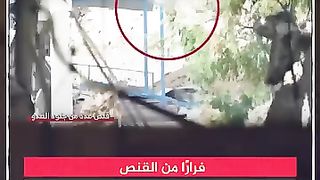 Gaza aujourd'hui