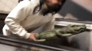 oh u wanna touch my alligator?