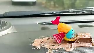 Nam Nam Nam