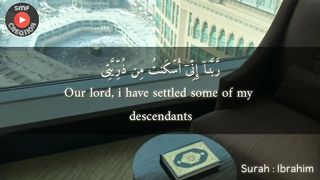 Surah Ibrahim-beautiful Qur'an recitation whatsapp status