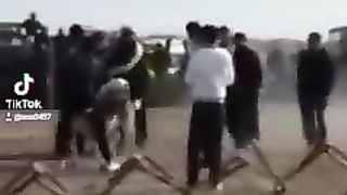 Собака бой