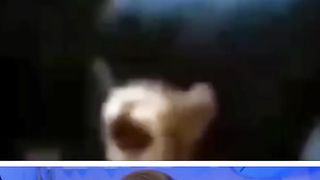 try not to laugh#2