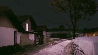 Night Beauty
