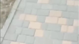 Try Not to Laugh ????#3