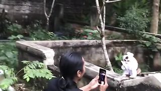 Funny Cat Videos 8